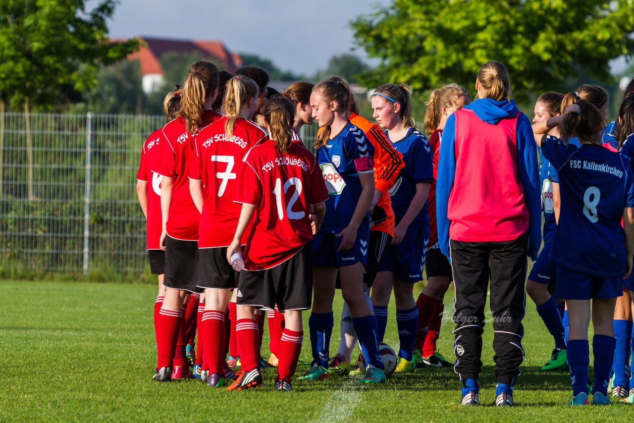 Bild 303 - B-Juniorinnen FSC Kaltenkirchen - TSV Schnberg : Ergebnis: 1:1